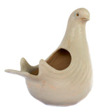 Pigeon Flower Pot Medium, Chiapas Pottery