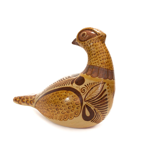 Pheasant looking back, Canelo Clay