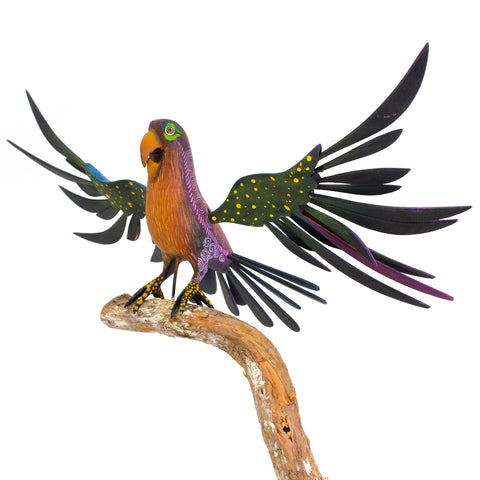 Parrot Alebrije, Copal Wood