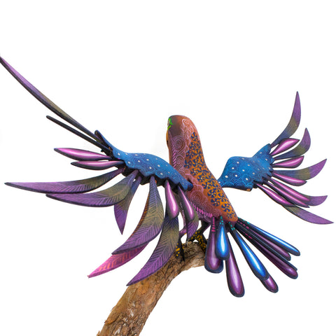 Parrot Alebrije, Copal Wood