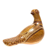 Pheasant looking back, Canelo Clay