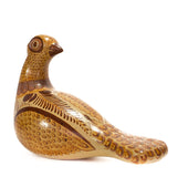 Pheasant looking back, Canelo Clay